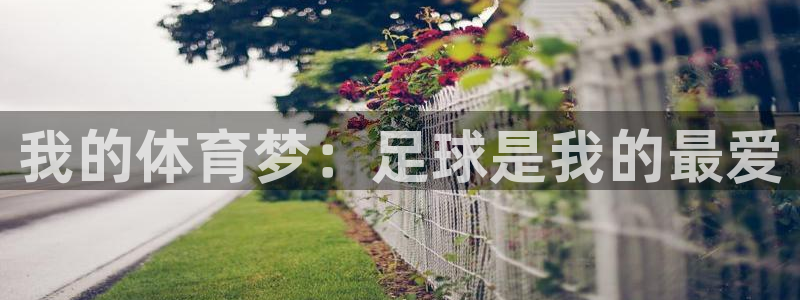 意昂2体育2：我的体育梦：足球是我的最爱