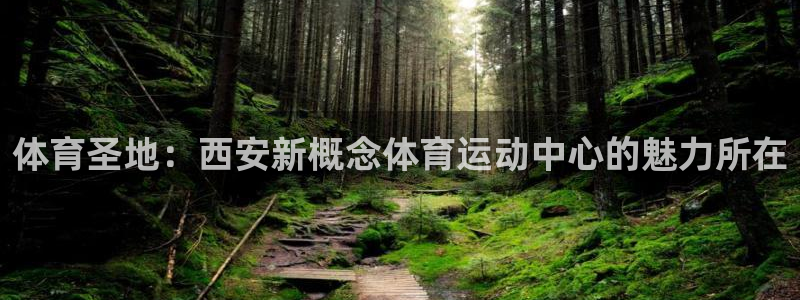 意昂2平台开户链接：体育圣地：西安新概念体育运动中心的魅力所在