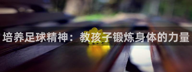 意昂2代理注册官网入口：培养足球精神：教孩子锻炼身体的力量