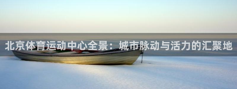 意昂23：北京体育运动中心全景：城市脉动与活力的汇聚地