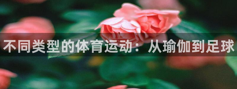 意昂主管：不同类型的体育运动：从瑜伽到足球