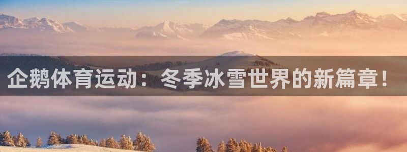 意昂2招商：企鹅体育运动：冬季冰雪世界的新篇章！