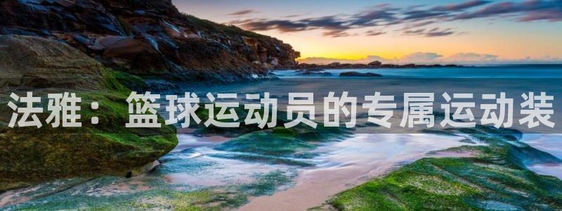 意昂5招商：法雅：篮球运动员的专属运动装