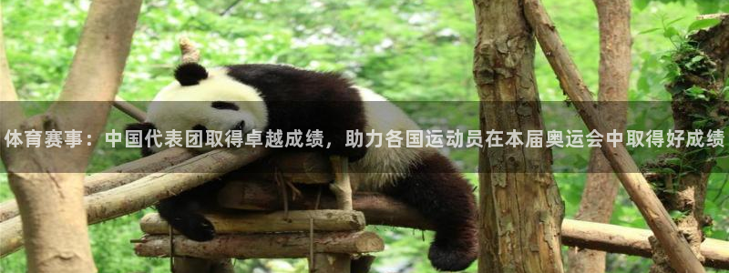 意昂4官网：体育赛事：中国代表团取得卓越成绩，助力各国运动员在本届奥运会中取得好