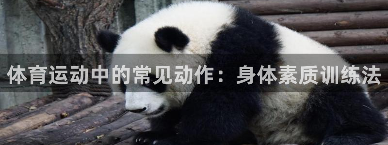 意昂2体育合法嘛：体育运动中的常见动作：身体素质训练法