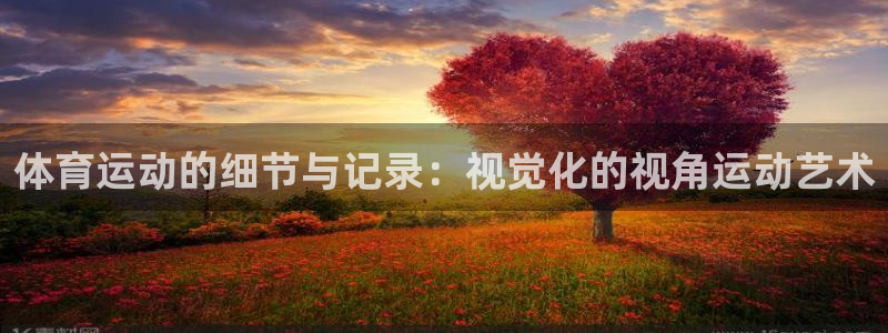 意昂2：体育运动的细节与记录：视觉化的视角运动艺术