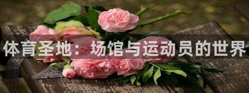 意昂2官网：体育圣地：场馆与运动员的世界