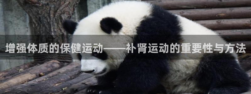 意昂2平台注册：增强体质的保健运动——补肾运动的重要性与方法