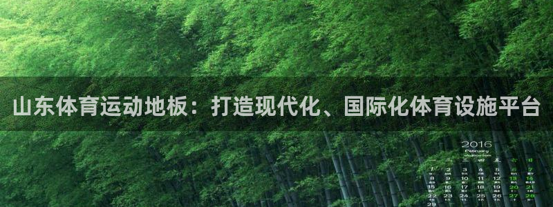 福建意昂2机电股份公司：山东体育运动地板：打造现代化、国际化体育设施平台