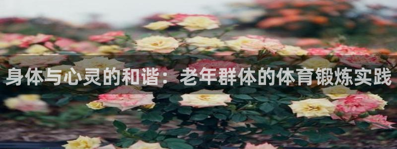 意昂3平台登录注册：身体与心灵的和谐：老年群体的体育锻炼实践