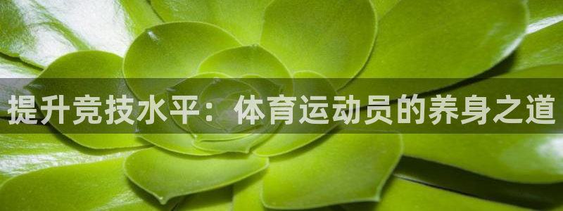 意昂2平台总代理：提升竞技水平：体育运动员的养身之道