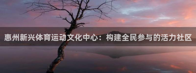 意昂2体育凯捷平台主管：惠州新兴体育运动文化中心：构建全民参与的活力社区