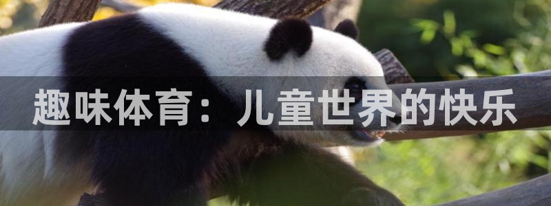意昂2登录：趣味体育：儿童世界的快乐