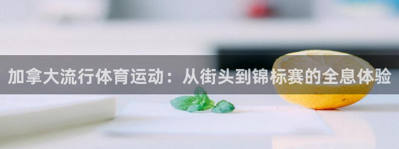 意昂2体育凯捷登陆：加拿大流行体育运动：从街头到锦标赛的全息体验