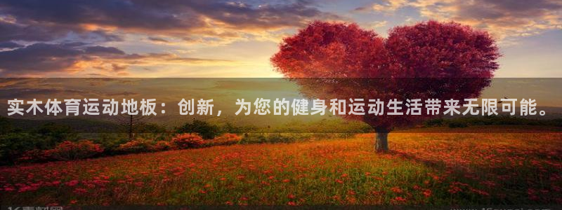意昂2vk：实木体育运动地板：创新，为您的健身和运动生活带来无限可能。
