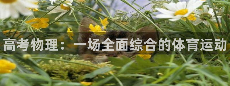 意昂平台登陆：高考物理：一场全面综合的体育运动