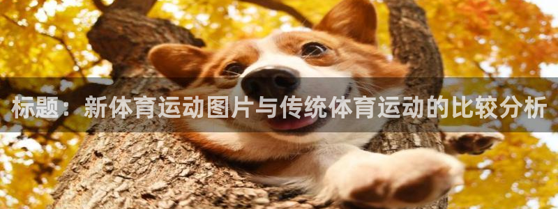 意昂新能源汽车科技有限公司：标题：新体育运动图片与传统体育运动的比较分析