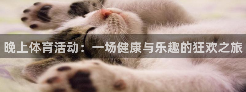 意昂平台：晚上体育活动：一场健康与乐趣的狂欢之旅