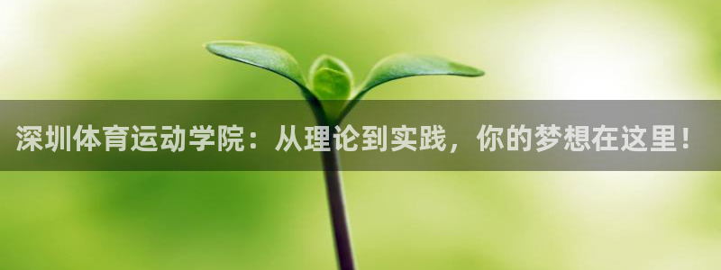 意昂4注册：深圳体育运动学院：从理论到实践，你的梦想在这里！