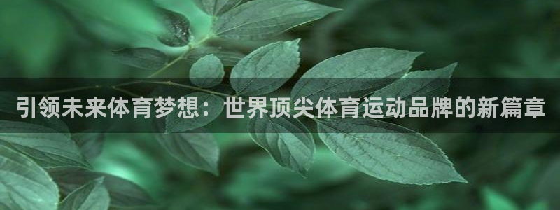 意昂23登录：引领未来体育梦想：世界顶尖体育运动品牌的新篇章