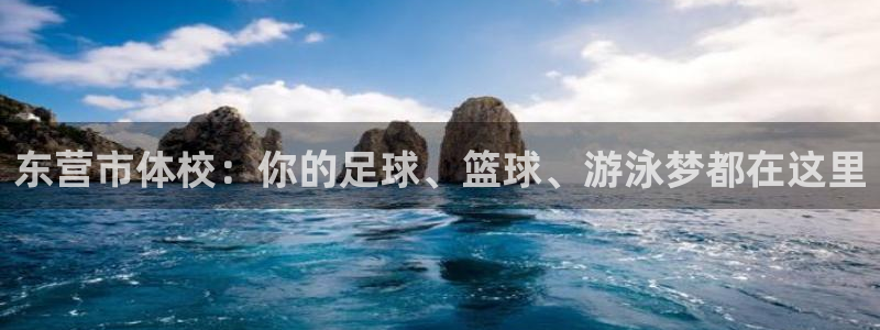 意昂3平台：东营市体校：你的足球、篮球、游泳梦都在这里